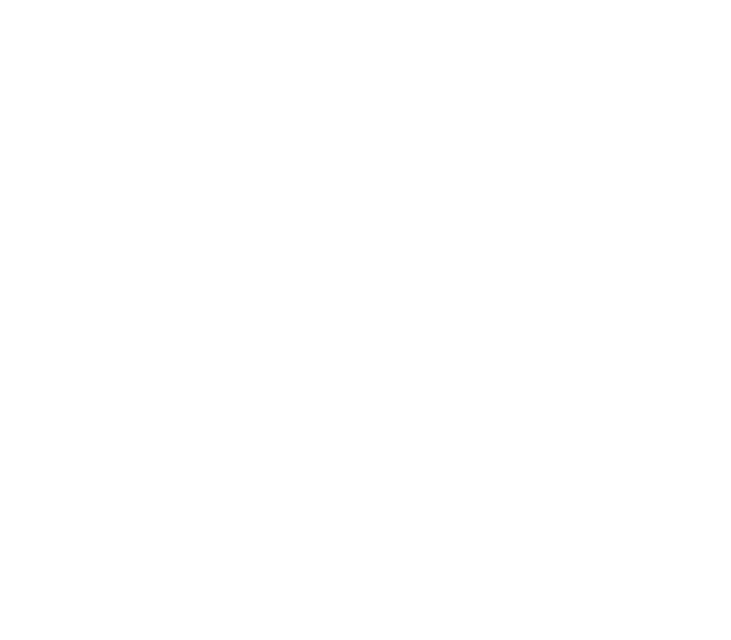 constabiel logo wit