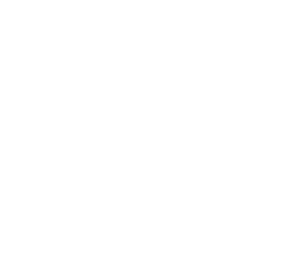 liemers prefab logo wit