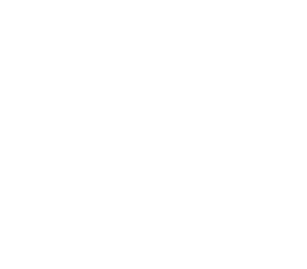 rotom logo wit