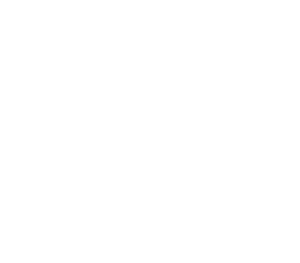 stiion logo wit