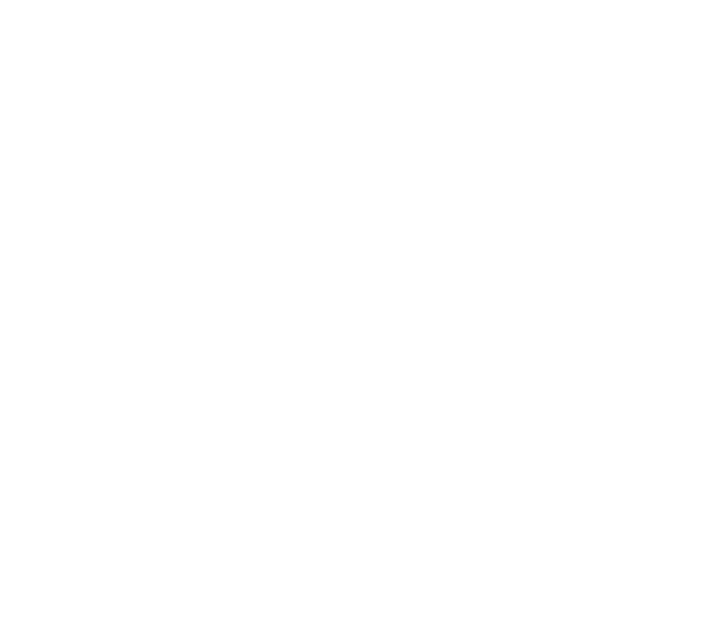 wes logo wit